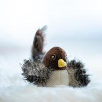 Interactive Cat Toy - ChirpBird-Little bird-State of Style