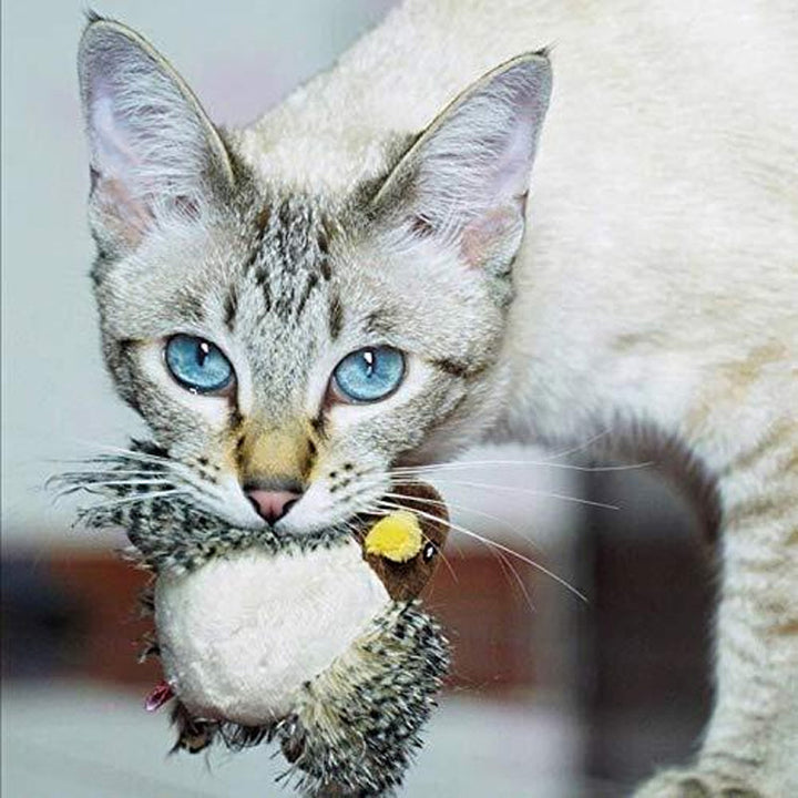 Interactive Cat Toy - ChirpBird-Little bird-State of Style