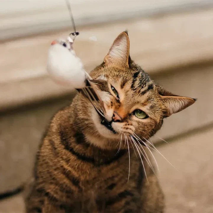Interactive Cat Toy - FlutterFriend-State of Style