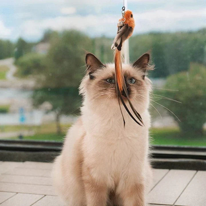 Interactive Cat Toy - FlutterFriend-State of Style
