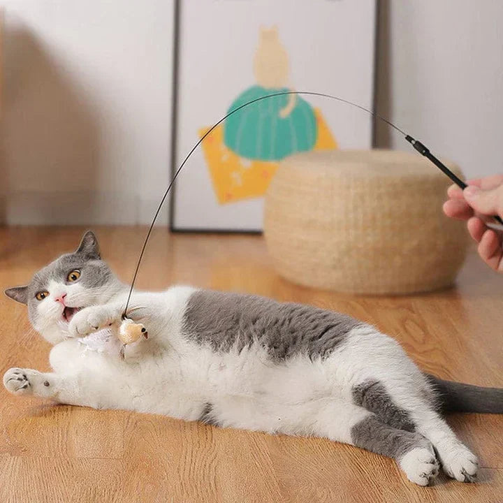 Interactive Cat Toy - FlutterFriend-State of Style
