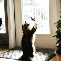 Interactive Cat Toy - FlutterFriend-State of Style