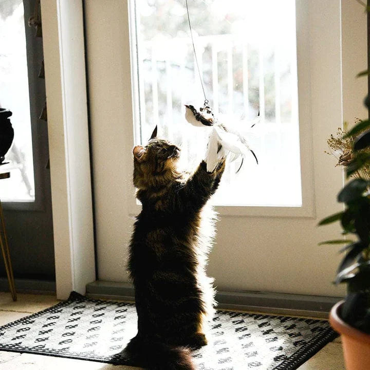 Interactive Cat Toy - FlutterFriend-State of Style