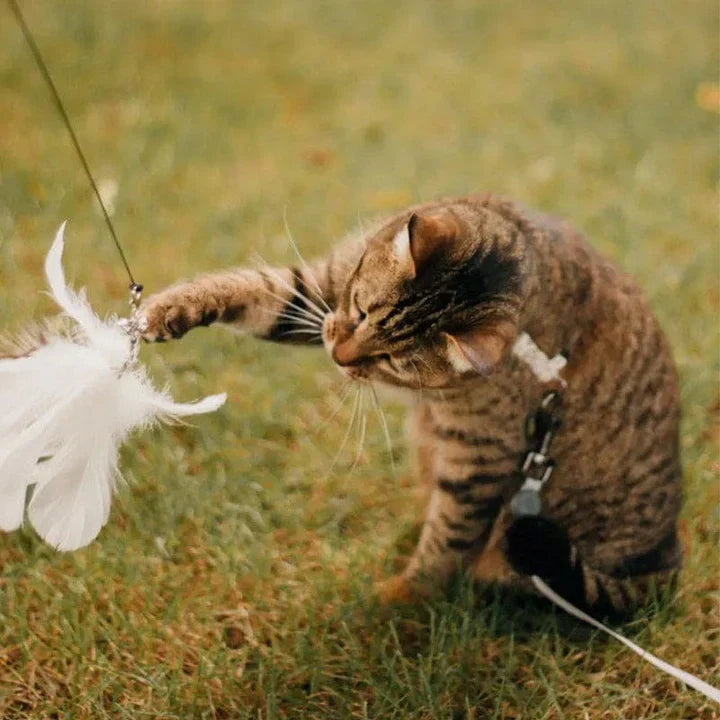 Interactive Cat Toy - FlutterFriend-State of Style