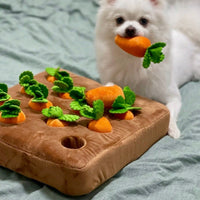 Interactive Detective Toy - Detective Carrot Garden-State of Style