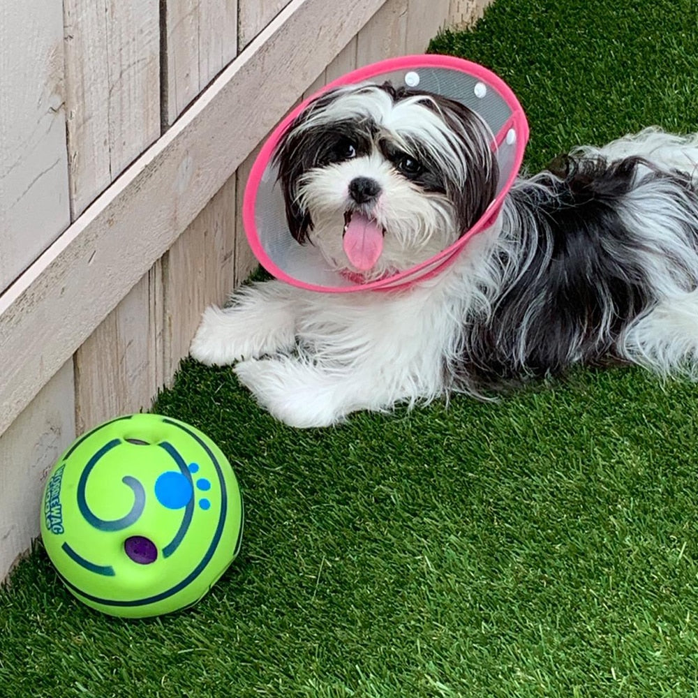 Interactive Dog Ball - GiggleSphere-State of Style