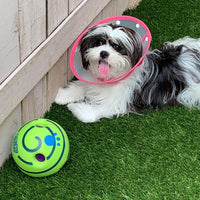 Interactive Dog Ball - GiggleSphere-State of Style