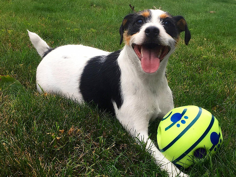 Interactive Dog Ball - GiggleSphere-State of Style
