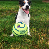 Interactive Dog Ball - GiggleSphere-State of Style