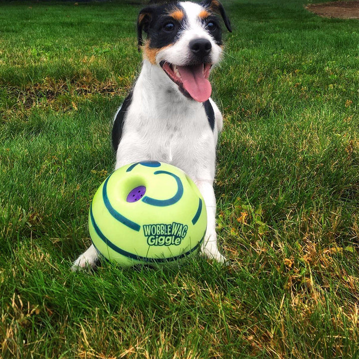 Interactive Dog Ball - GiggleSphere-State of Style