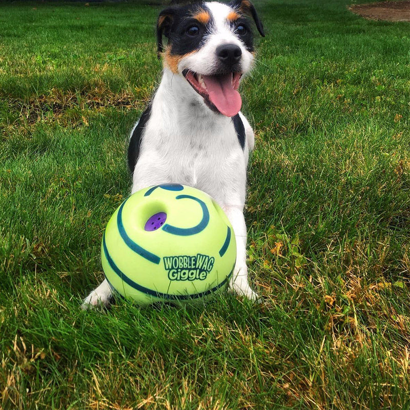 Interactive Dog Ball - GiggleSphere-State of Style