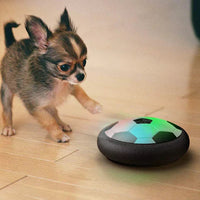 Interactive Dog Soccer Toy - PlayBall Pro-State of Style