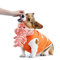 Interactive Dog Toy - BouncyLobster-State of Style