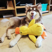 Interactive Dog Toy with Sound & Teeth Cleaning - FlappyDuck-22*25 CM-State of Style
