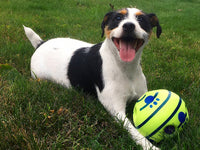 Interactive Play Ball for Dogs - GiggleSphere-State of Style