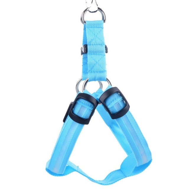 LED Dog Harness - Glow&Go-Blue-XS-State of Style