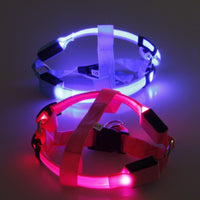LED Dog Harness - Glow&Go-Blue-XS-State of Style