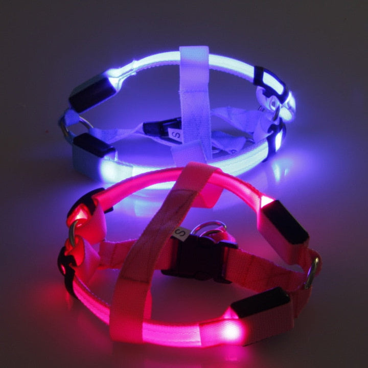 LED Dog Harness - Glow&Go-Blue-XS-State of Style