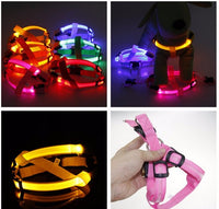 LED Dog Harness - Glow&Go-Blue-XS-State of Style