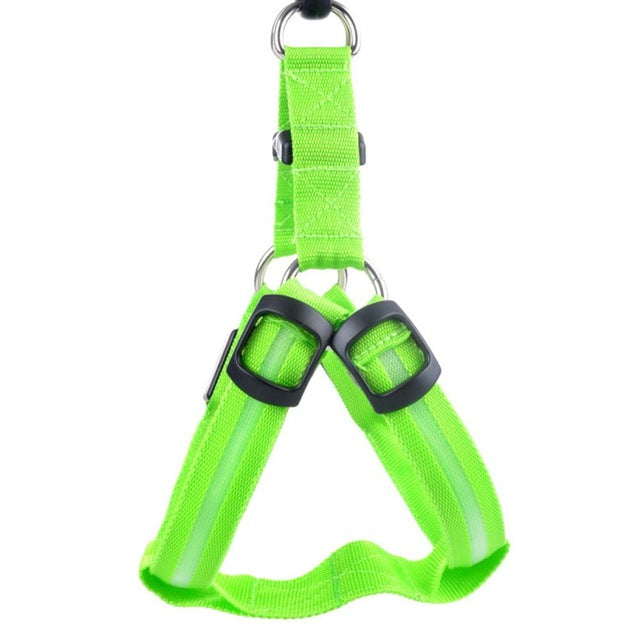 LED Dog Harness - Glow&Go-Green-XS-State of Style