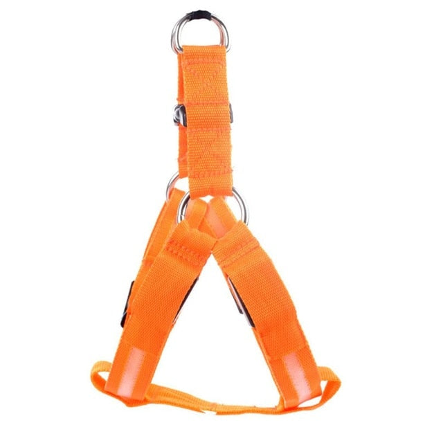 LED Dog Harness - Glow&Go-Orange-XS-State of Style