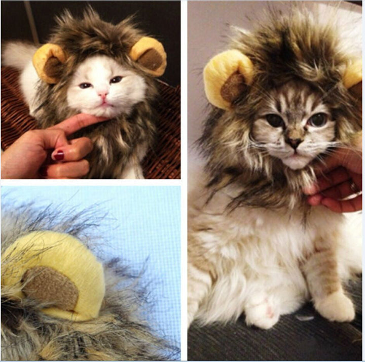 LionPaws Lion Mane for Your Cat-State of Style