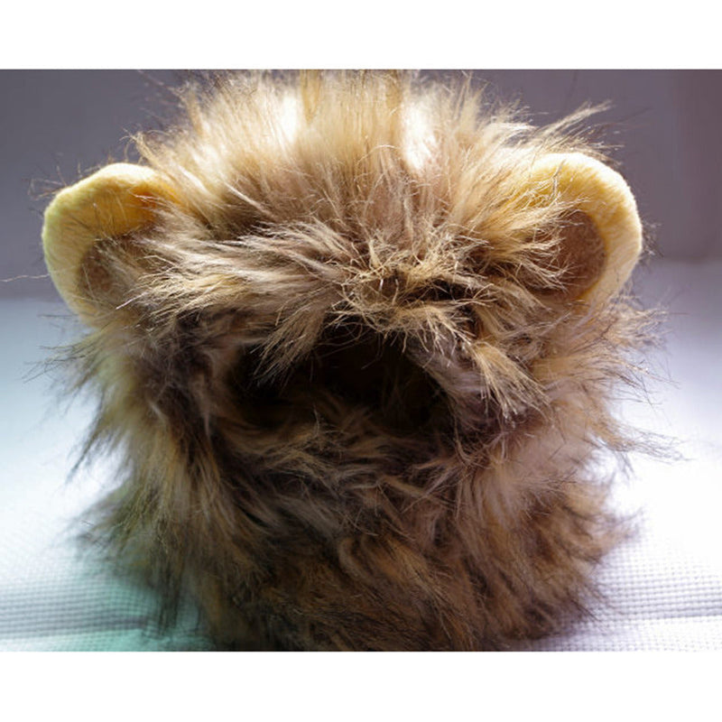 LionPaws Lion Mane for Your Cat-State of Style