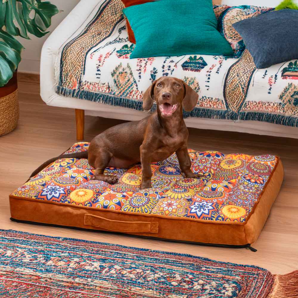 Luxurious Moroccan Style Dog Bed - Casablanca Dream-M-Brown-State of Style