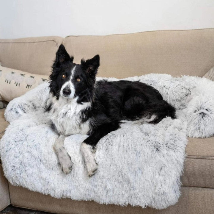 Luxury Dog Sofa Bed - PawLounge-Grey-S (90x75x15 cm)-Not washable-State of Style