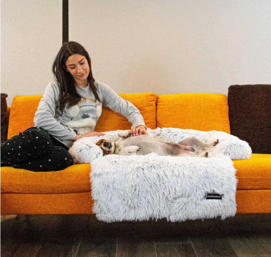 Luxury Dog Sofa Bed - PawLounge-Grey-S (90x75x15 cm)-Not washable-State of Style