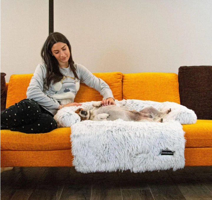 Luxury Dog Sofa Bed - PawLounge-Grey-S (90x75x15 cm)-Not washable-State of Style