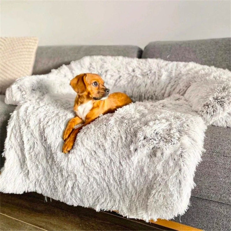 Luxury Dog Sofa Bed - PawLounge-Grey-S (90x75x15 cm)-Not washable-State of Style