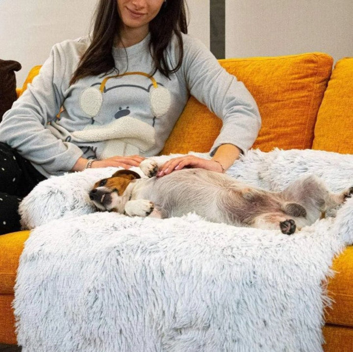 Luxury Dog Sofa Bed - PawLounge-Grey-S (90x75x15 cm)-Not washable-State of Style