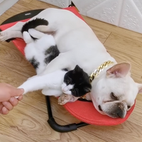 Luxury Rocking Chair for Dogs - Swingo-Red-State of Style