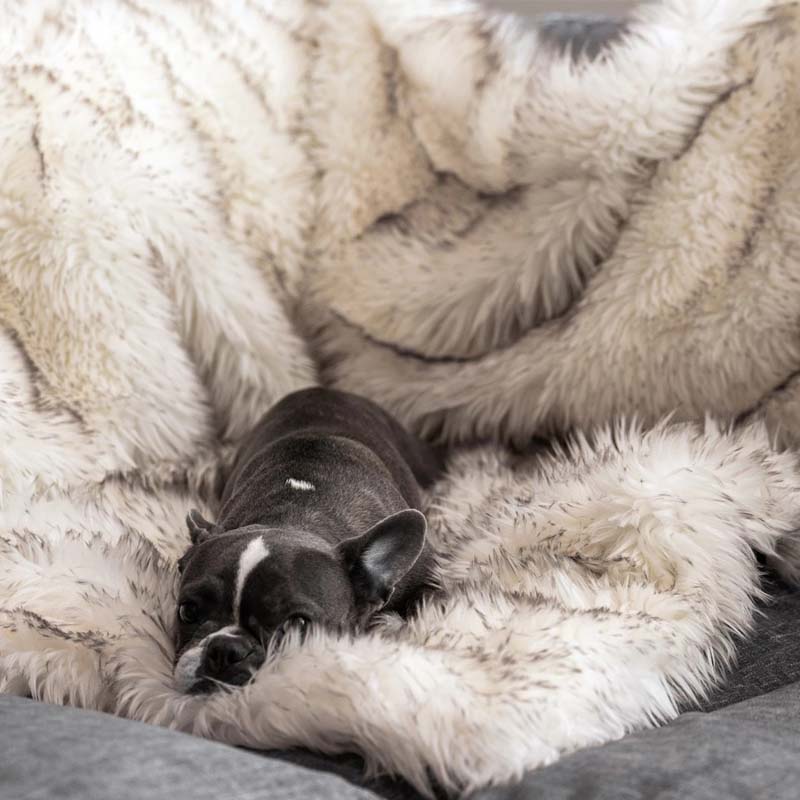Luxury Waterproof Pet Blanket - CozyPaw™-75X100cm-White-brown-State of Style