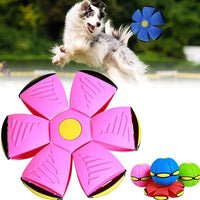 Magic Flying Saucer Ball (Buy 1 Get 1 Free) - MagicFly-Pink + Red-State of Style