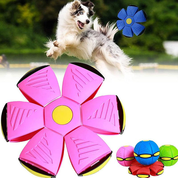 Magic Flying Saucer Ball (Buy 1 Get 1 Free) - MagicFly-Pink + Red-State of Style