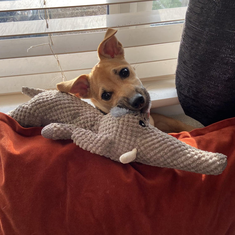 Maximus Extra Strong Dog Toy-Wolf-State of Style