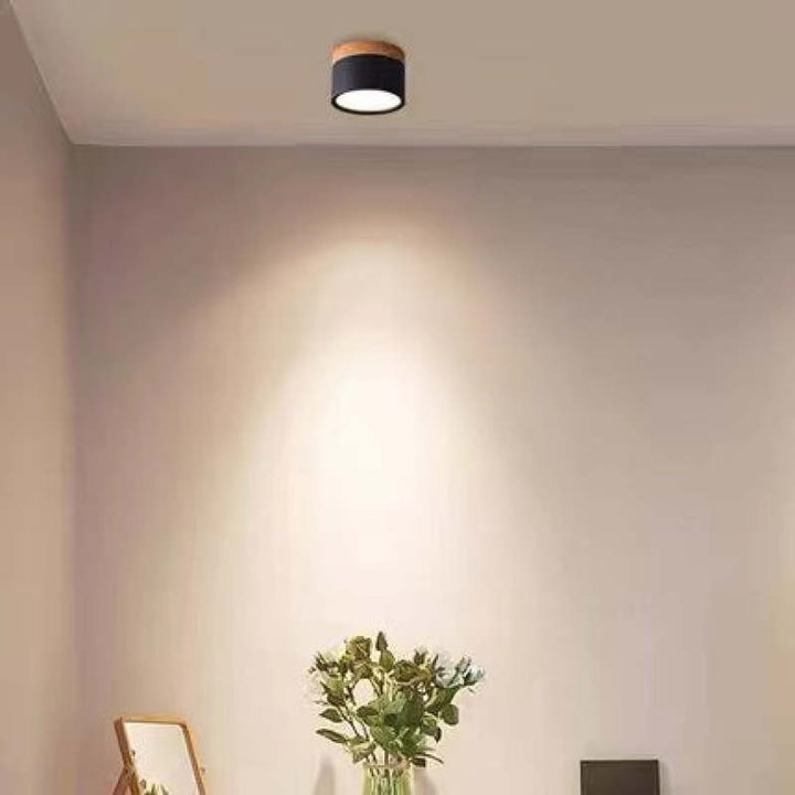 Morandi Style Modern LED Ceiling Light - LumiModo-5W-Warm White-Black-State of Style