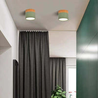 Morandi Style Modern LED Ceiling Light - LumiModo-5W-Warm White-Blue-State of Style