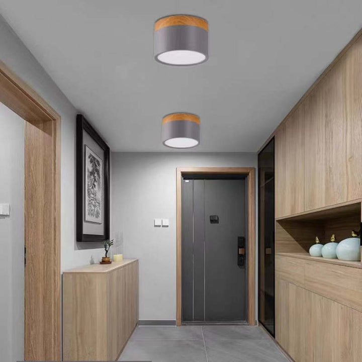 Morandi Style Modern LED Ceiling Light - LumiModo-5W-Warm White-Blue-State of Style