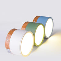 Morandi Style Modern LED Ceiling Light - LumiModo-5W-Warm White-Blue-State of Style