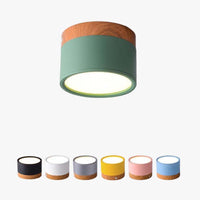 Morandi Style Modern LED Ceiling Light - LumiModo-5W-Warm White-Blue-State of Style