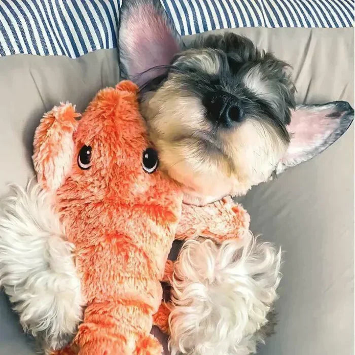 Motion Sensor Dog Toy - PlayPal-Lobster-State of Style