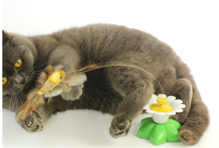 Moving Cat Toy - FlutterPaw-Butterfly-State of Style