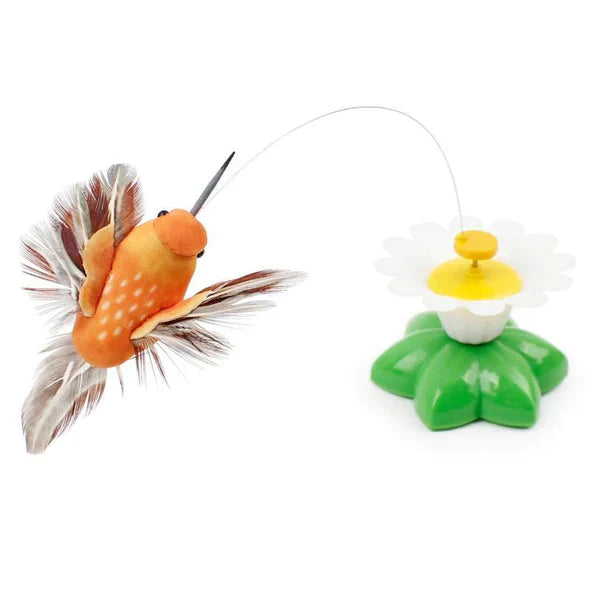 Moving Cat Toy - FlutterPaw-Hummingbird-State of Style