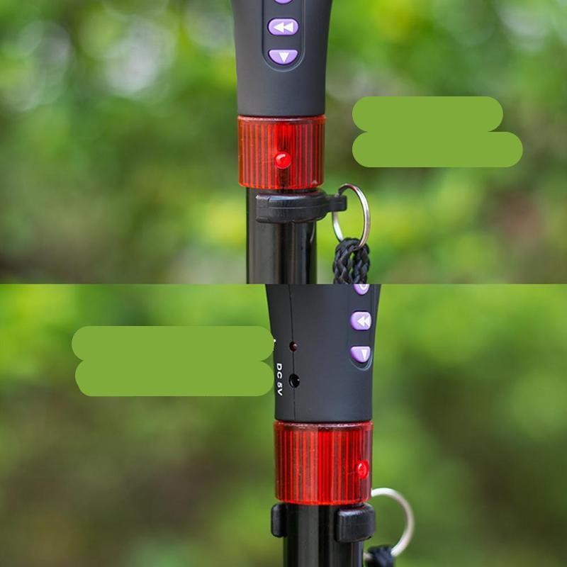 Nordic Walking Poles with LED Lighting – ActiveStride Pro-State of Style