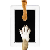 Paw Print Set - PawPrint Keepsake-State of Style