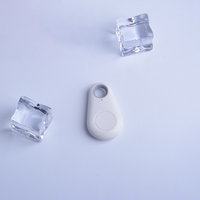 Pet GPS Tag - PawFinder-White-Standard-State of Style