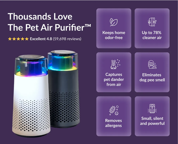 Pet Odour Humidifier – PetFresh-Black-State of Style